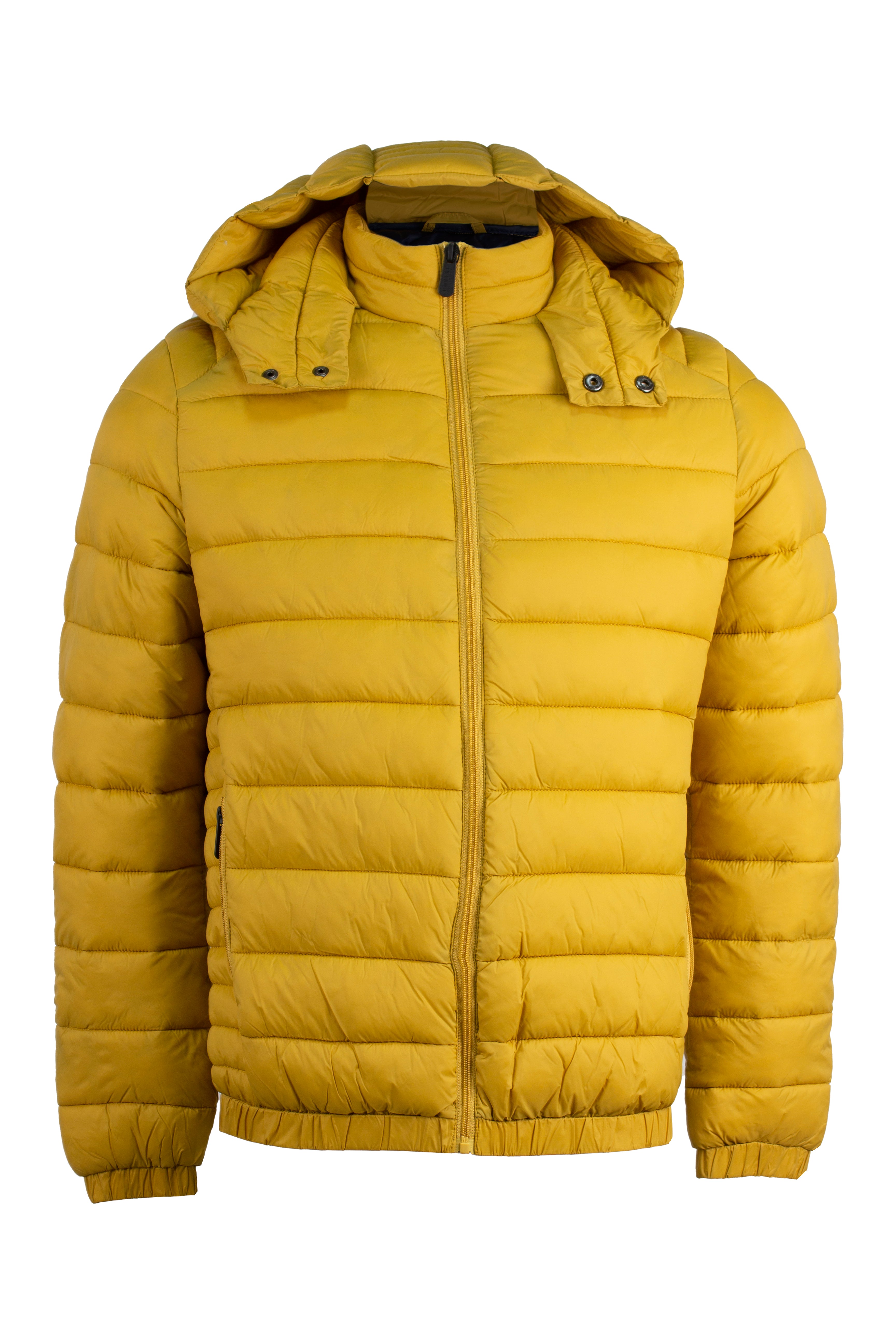 Hotelkalingaashok Borse Estate 2020 Elisabetta Franchi Piumino